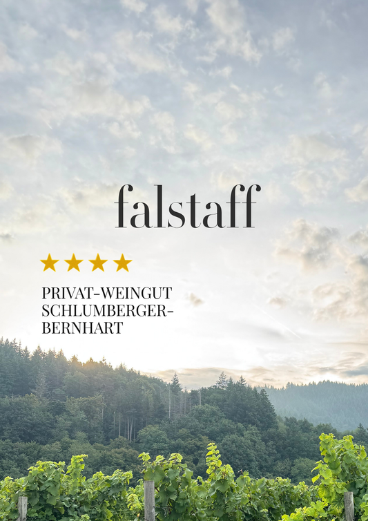 Falstaff U30-Trophy & Weinguide 2026