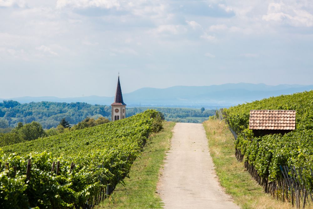 Privat-Weingut Schlumberger-Bernhart