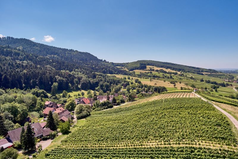 Privat-Weingut Schlumberger-Bernhart